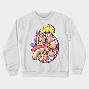 Human Kidney Anatomy Illustration - Nephrology Renal Diagram Crewneck Sweatshirt